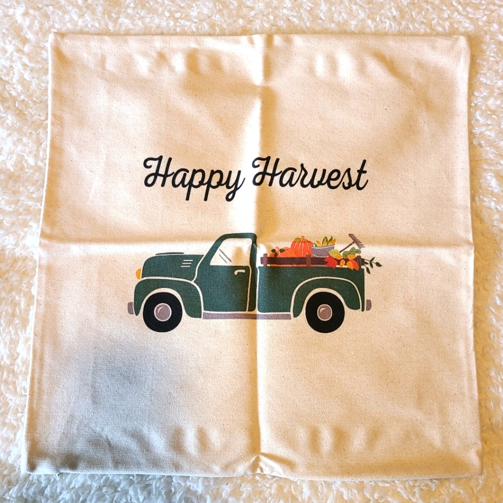 Throw Pillow case